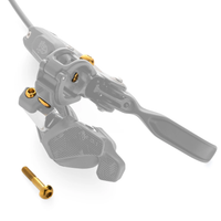 KIT DE PERNOS TERSKE PARA MANETA DE FRENO SRAM MATCHMAKER - DORADO