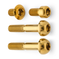 KIT DE PERNOS TERSKE PARA MANETA DE FRENO SRAM MATCHMAKER - DORADO